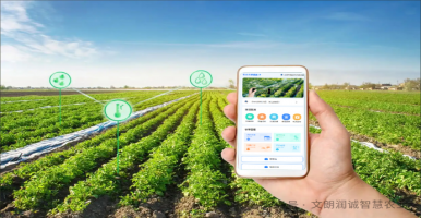文朗润诚智慧农业平台完成对接AI大模型